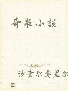 奇米小说封面