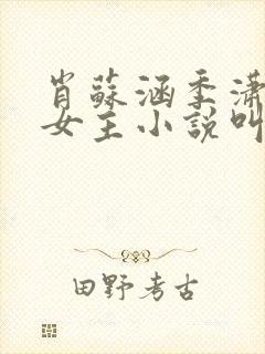 肖苏涵季潇宁双女主小说叫什么