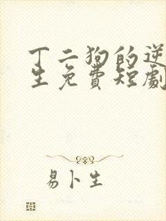 丁二狗的逆袭人生免费短剧