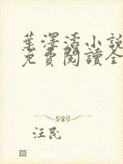 叶泽涛小说全文免费阅读全文封面