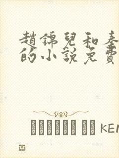 赵锦儿和秦慕修的小说免费阅读全文