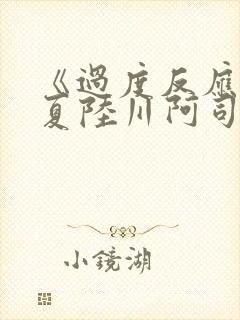 《过度反应》苏夏陆川阿司匹林