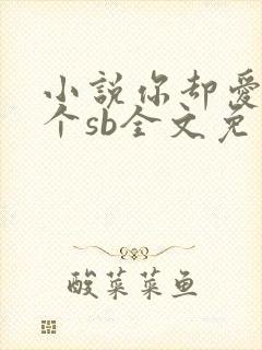 小说你却爱着一个sb全文免费阅读