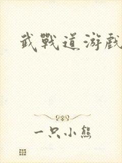 武战道游戏