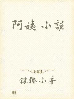 阿姨 小说