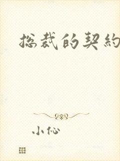 总裁的契约妻封面