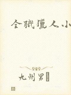 全职猎人小说封面