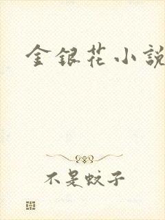 金银花小说乐可封面