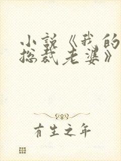 小说《我的冷艳总裁老婆》