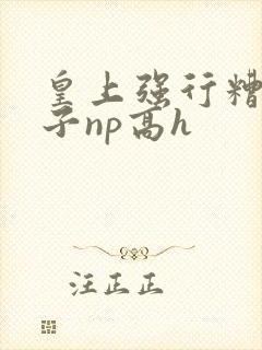 皇上强行糟蹋太子np高h封面