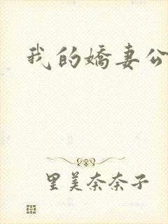 我的娇妻公务员