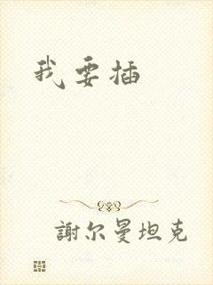 我要插