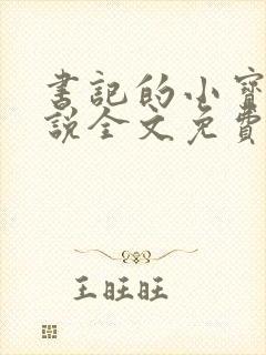 书记的小宝贝小说全文免费阅读封面