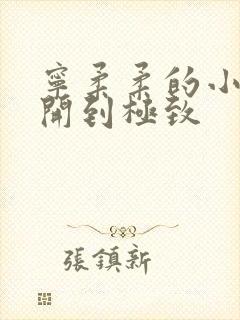 宁柔柔的小泬撑开到极致封面