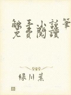 触手小说笔趣阁免费阅读