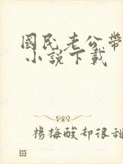 国民老公带回家 小说下载