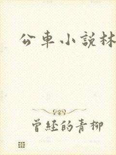 公车小说林蔓蔓封面