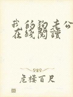 我的狗老公小说在线阅读
