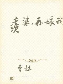 老婆,再嫁我一次