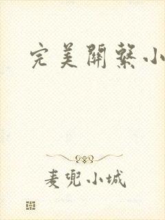 完美关系小说