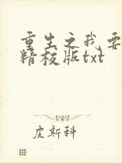 重生之我要冲浪精校版txt