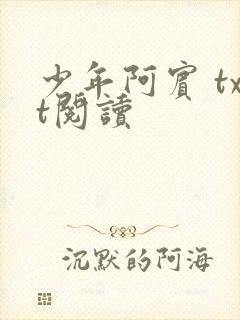 少年阿宾 txt阅读