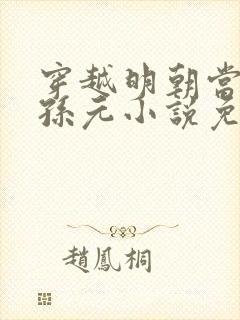 穿越明朝当老大孙元小说免费阅读
