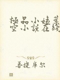 极品小姨叶凡司空小说在线阅读全文封面