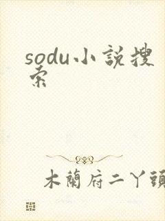 sodu小说搜索