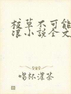 校草不可能这么浪小说全文免费阅读