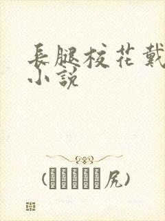 长腿校花戴若希小说