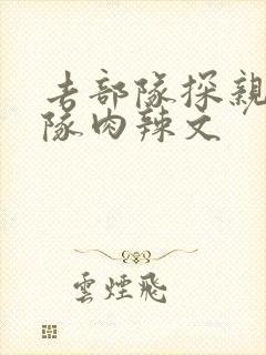 去部队探亲被全队肉辣文封面