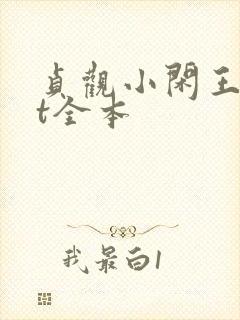 贞观小闲王txt全本
