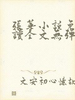 张华小说免费阅读全文无弹窗