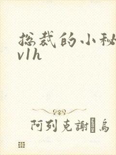 总裁的小秘书1v1h