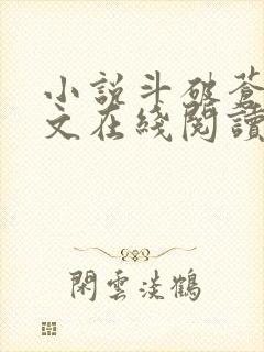 小说斗破苍穹全文在线阅读封面
