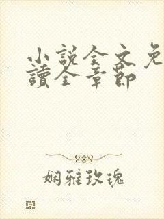 小说全文免费阅读全章节