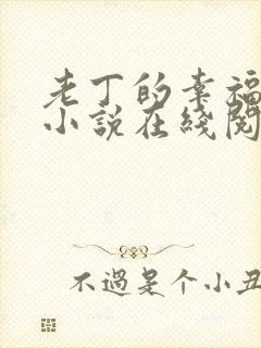 老丁的幸福生活小说在线阅读