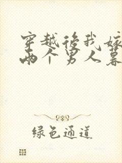 穿越后我嫁给了两个男人暮色酒歌