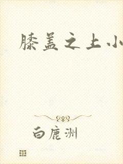 膝盖之上小说封面