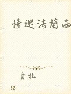 情迷法兰西封面