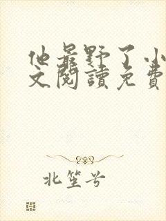他最野了小说全文阅读免费