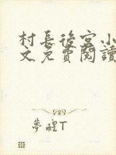 村长后宫小说全文免费阅读笔趣阁封面