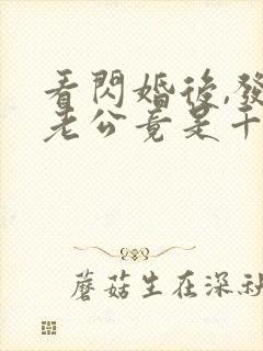 看闪婚后,发现老公竟是千亿大佬