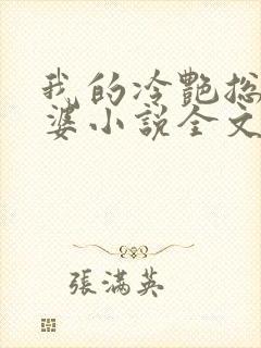 我的冷艳总裁老婆小说全文阅读