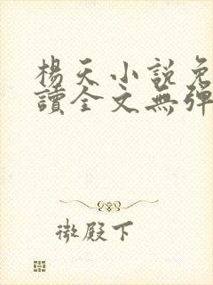 杨天小说免费阅读全文无弹窗