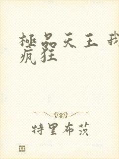 极品天王 我本疯狂