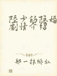 陆少的隐婚罪妻剧情介绍