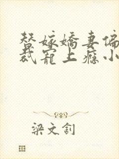 替嫁娇妻偏执总裁宠上瘾小说下载