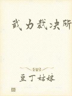 武力裁决所